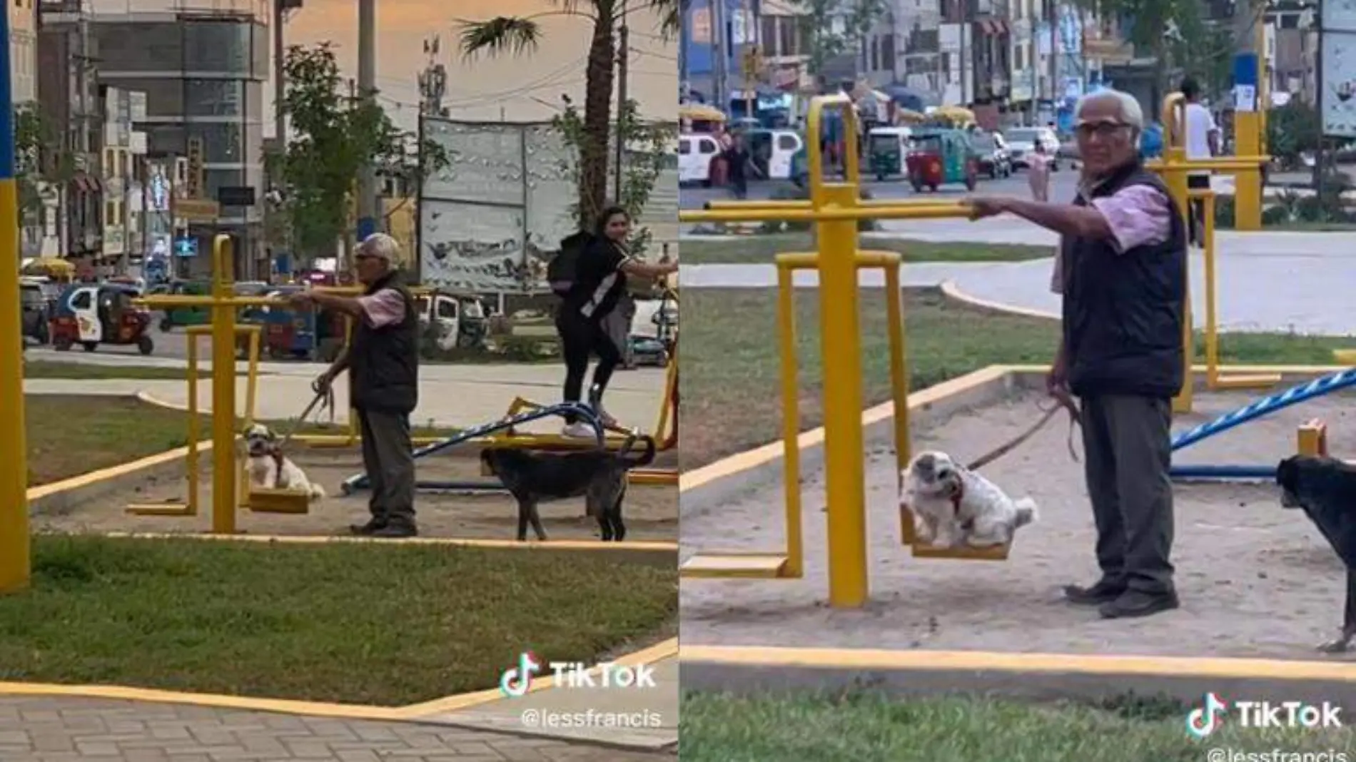 Abuelito columpea a perrito y se vuelve viral